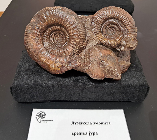 GEOLOGIJA