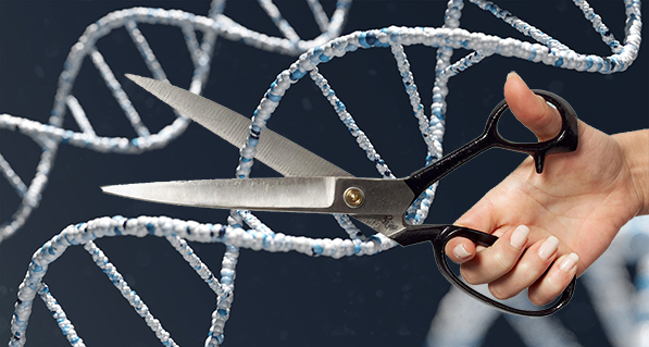 MOLEKULARNA BIOLOGIJA