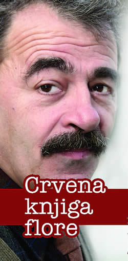 Prof. dr Vladimir Stevanovi