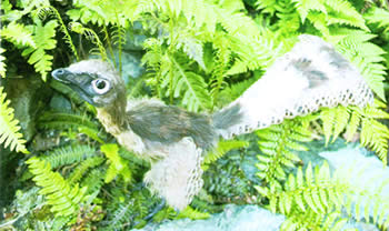 Jinfengopteryx elegans