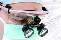 Prof. dr Bratislav Velimirovi 