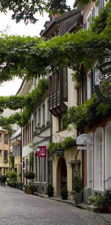 Zeleni� grad Frajburg 