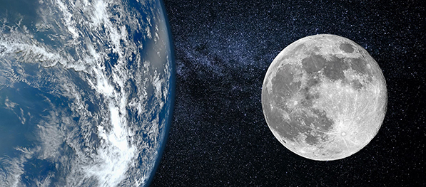 ŽIVI SVET I VASIONA