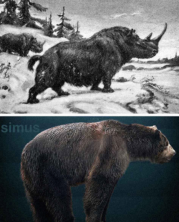 Evolucija